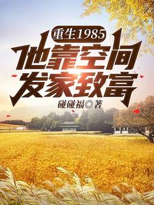 重生1985，他靠空间发家致富