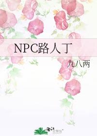 NPC路人丁